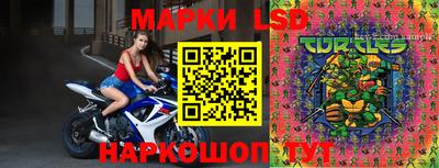 молекула духа Кандалакша