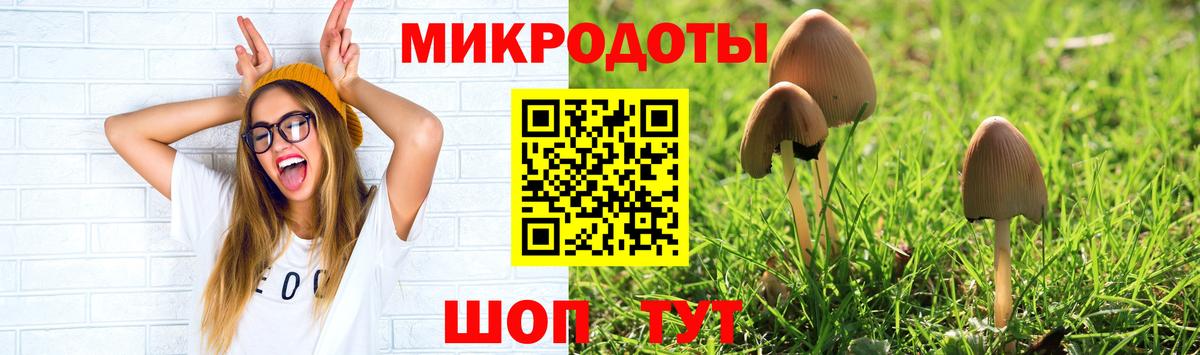 Псилоцибиновые грибы мухоморы Курчатов
