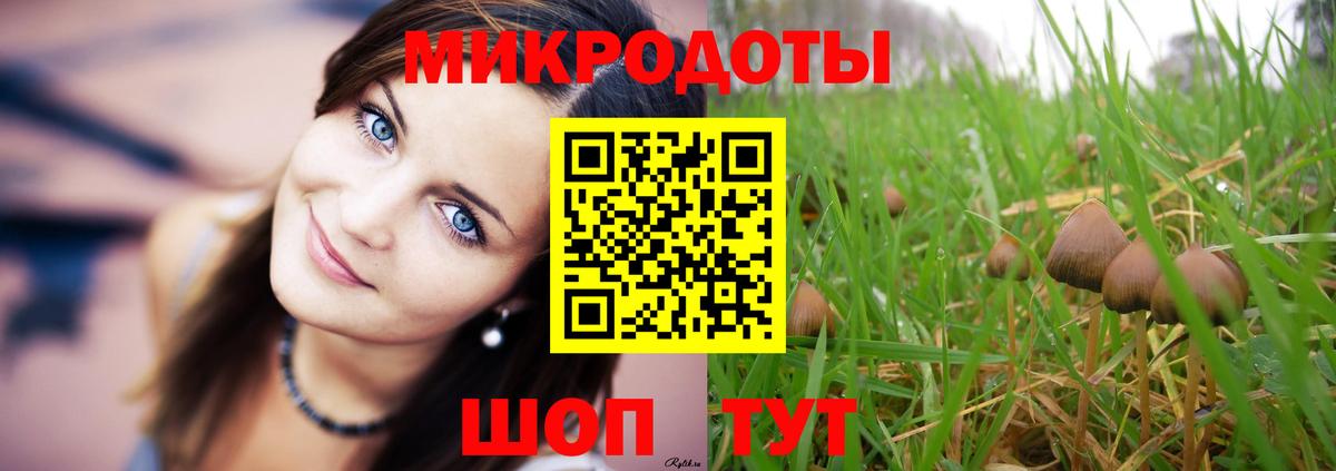 Курчатов  Галлюциногенные грибы Magic Shrooms  Вход с VPN 